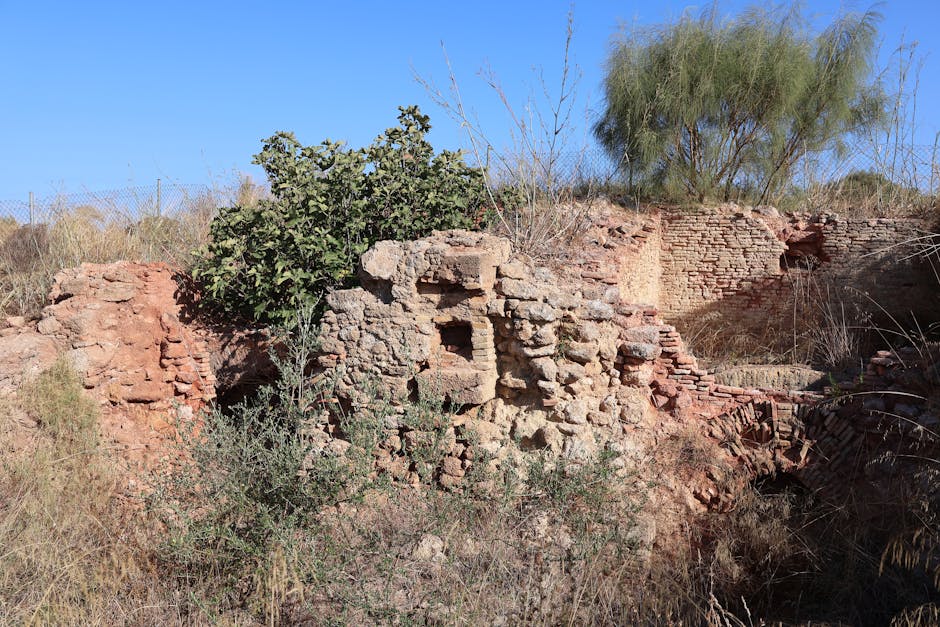 Explore the timeless beauty of ancient ruins in Puerto Real, Andalusia, Spain.